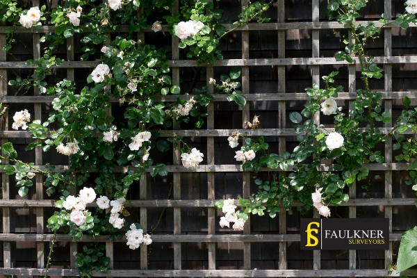 Can I put trellis on my Neighbours garage wall? 2 Do you want to adapt your neighbours garage door and add a trellis Cheltenham? Talk to Faulkner Surveyor Cheltenham